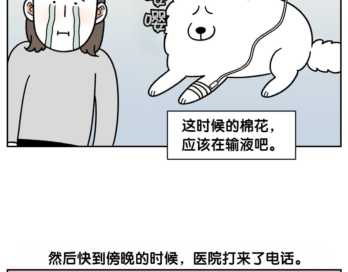 第56话 食用木糖醇口香糖事件(1/2)-第124话