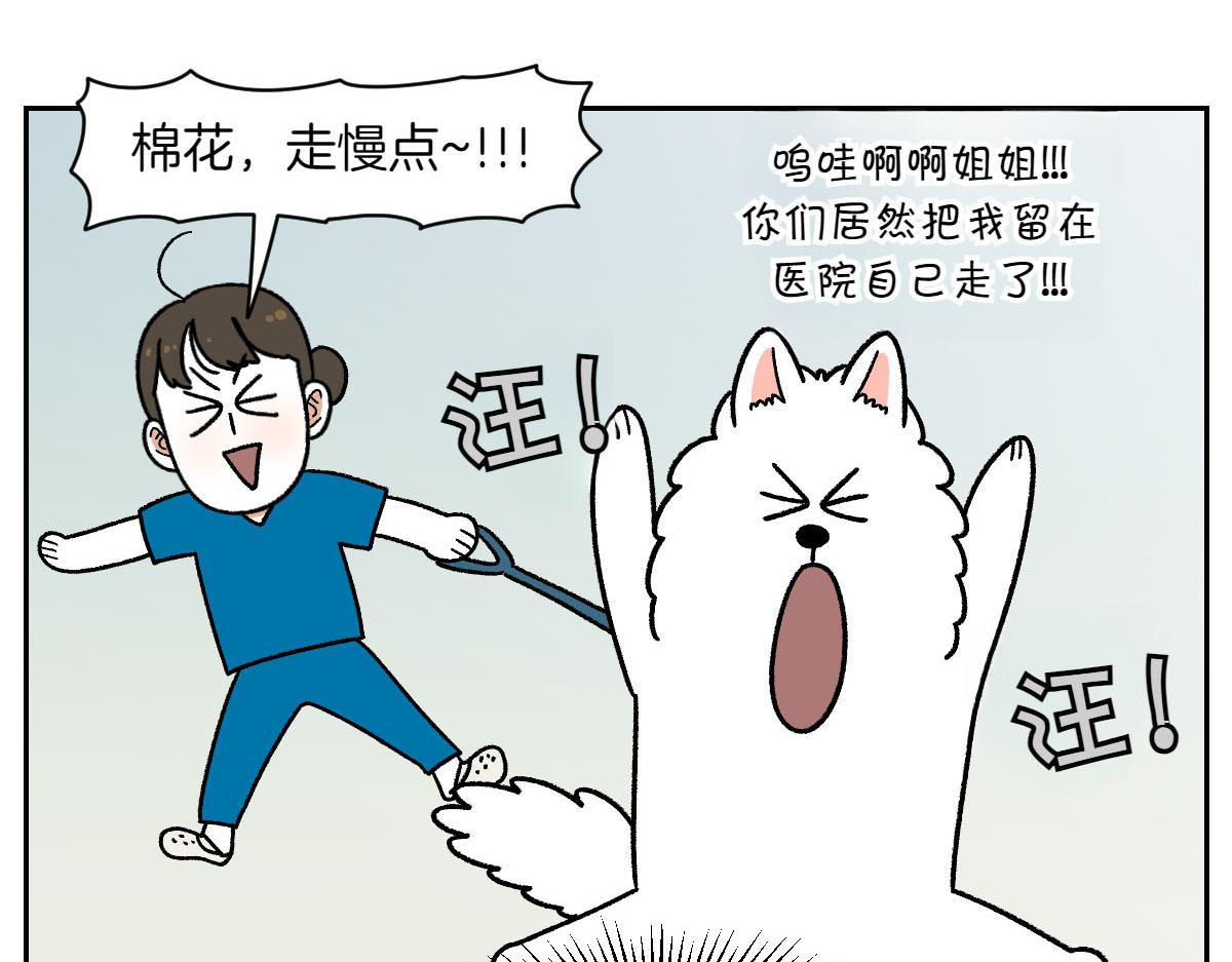 第56话 食用木糖醇口香糖事件(1/2)-第124话