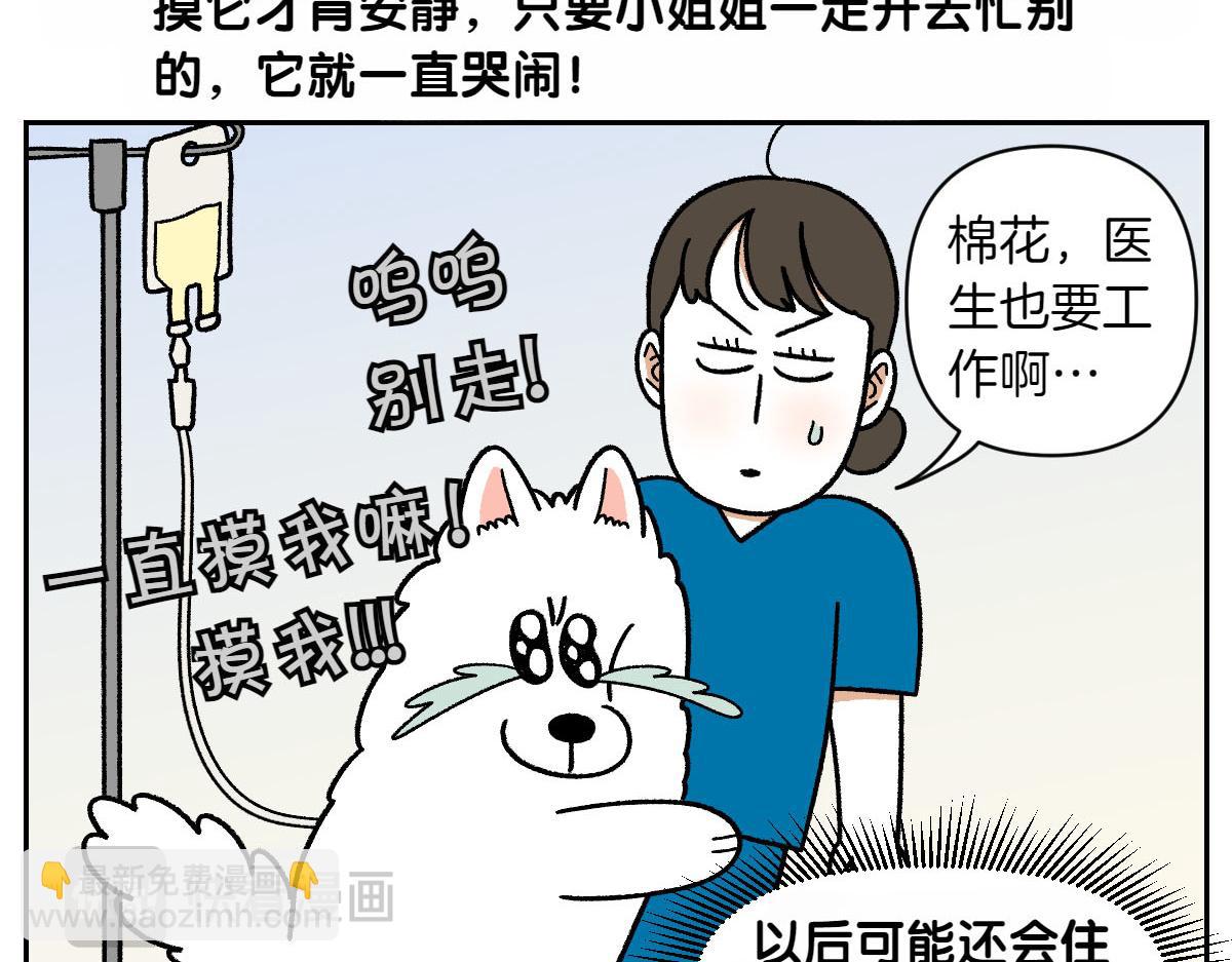 第56话 食用木糖醇口香糖事件(1/2)-第124话