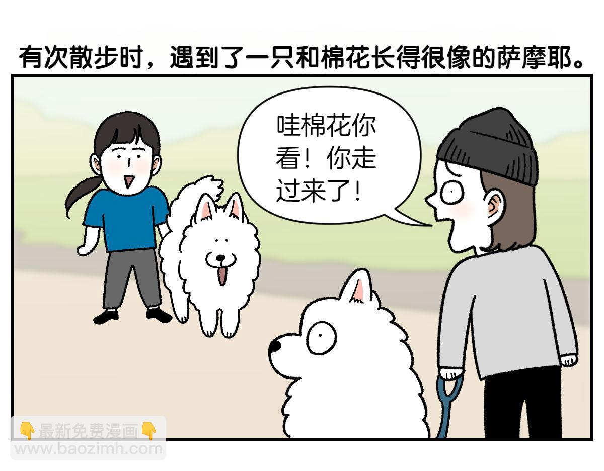 第64话 和狗狗朋友问好(1/2)-第132话