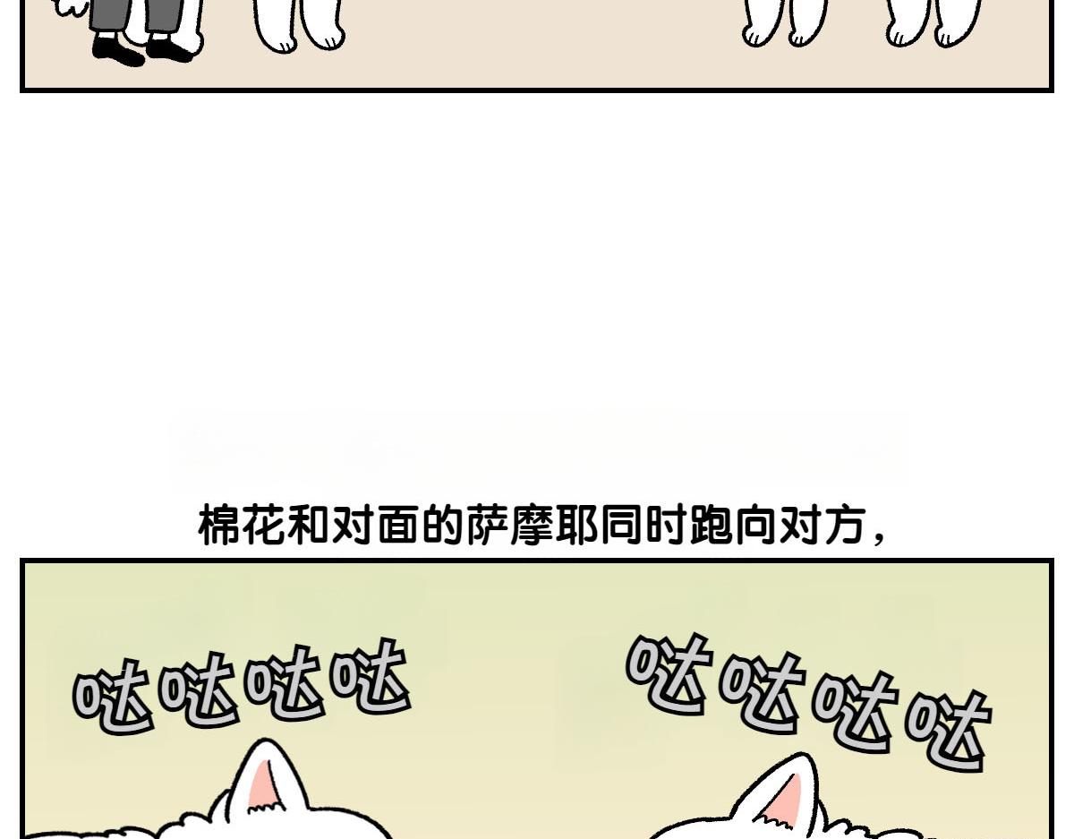 第64话 和狗狗朋友问好(1/2)-第132话