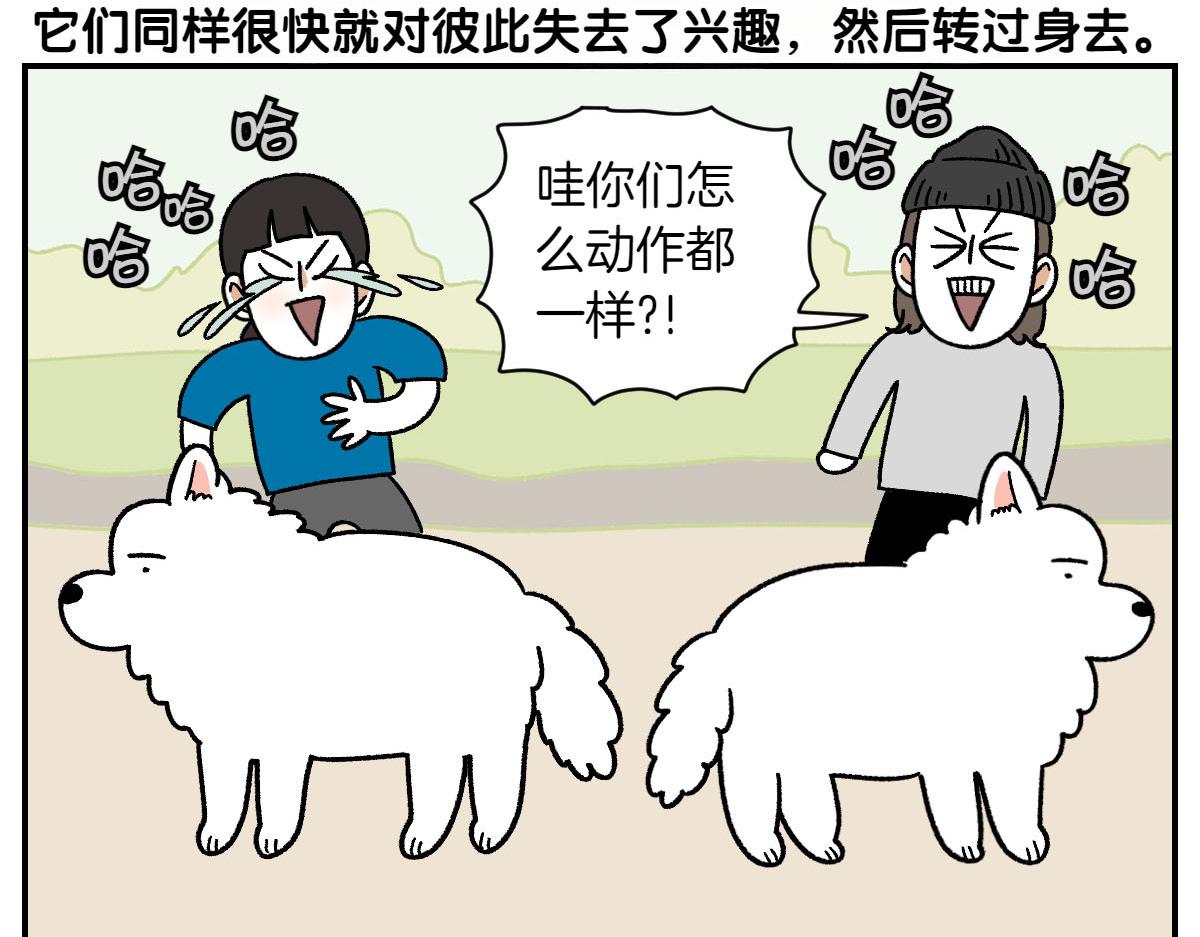 第64话 和狗狗朋友问好(1/2)-第132话