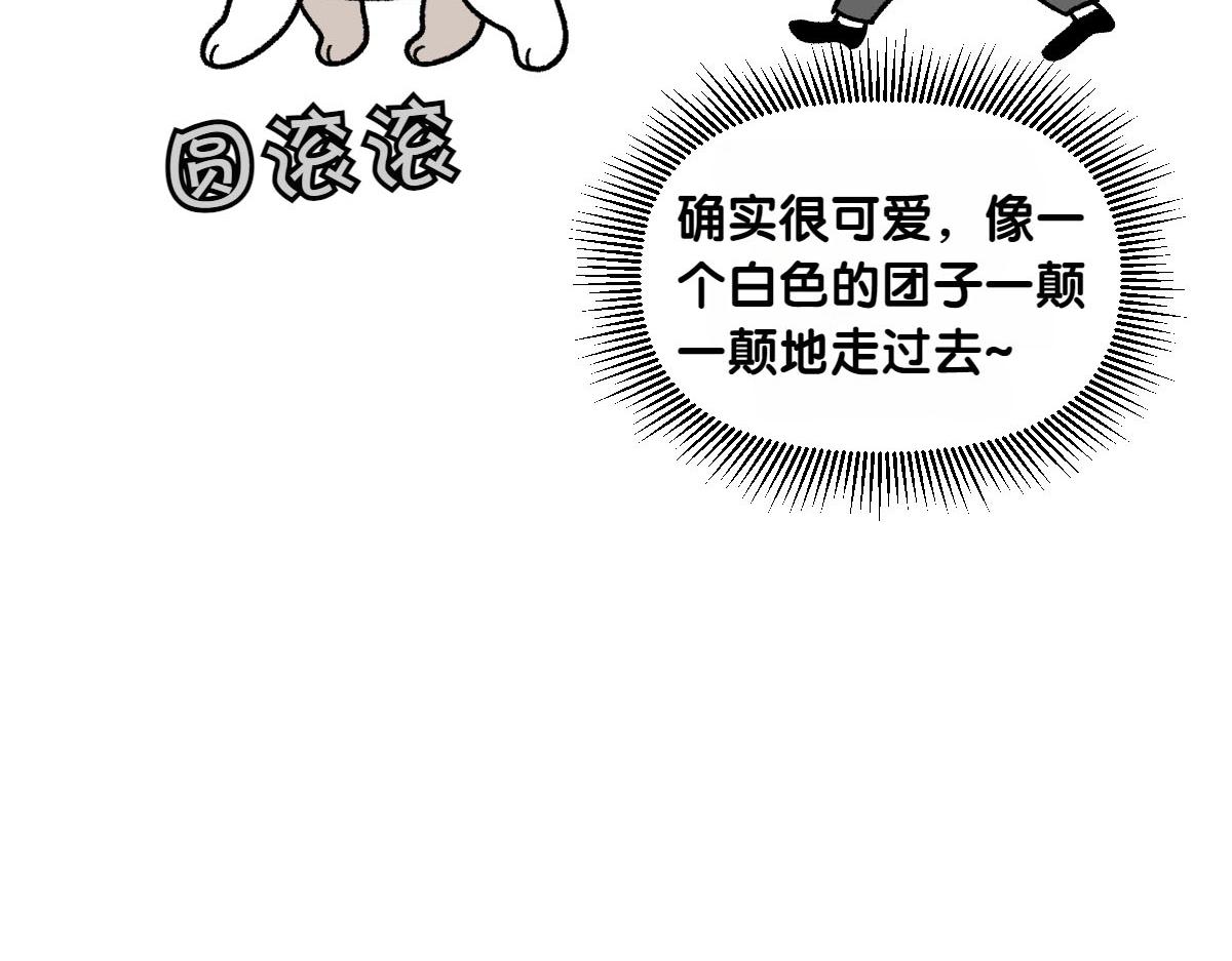 第64话 和狗狗朋友问好(1/2)-第132话