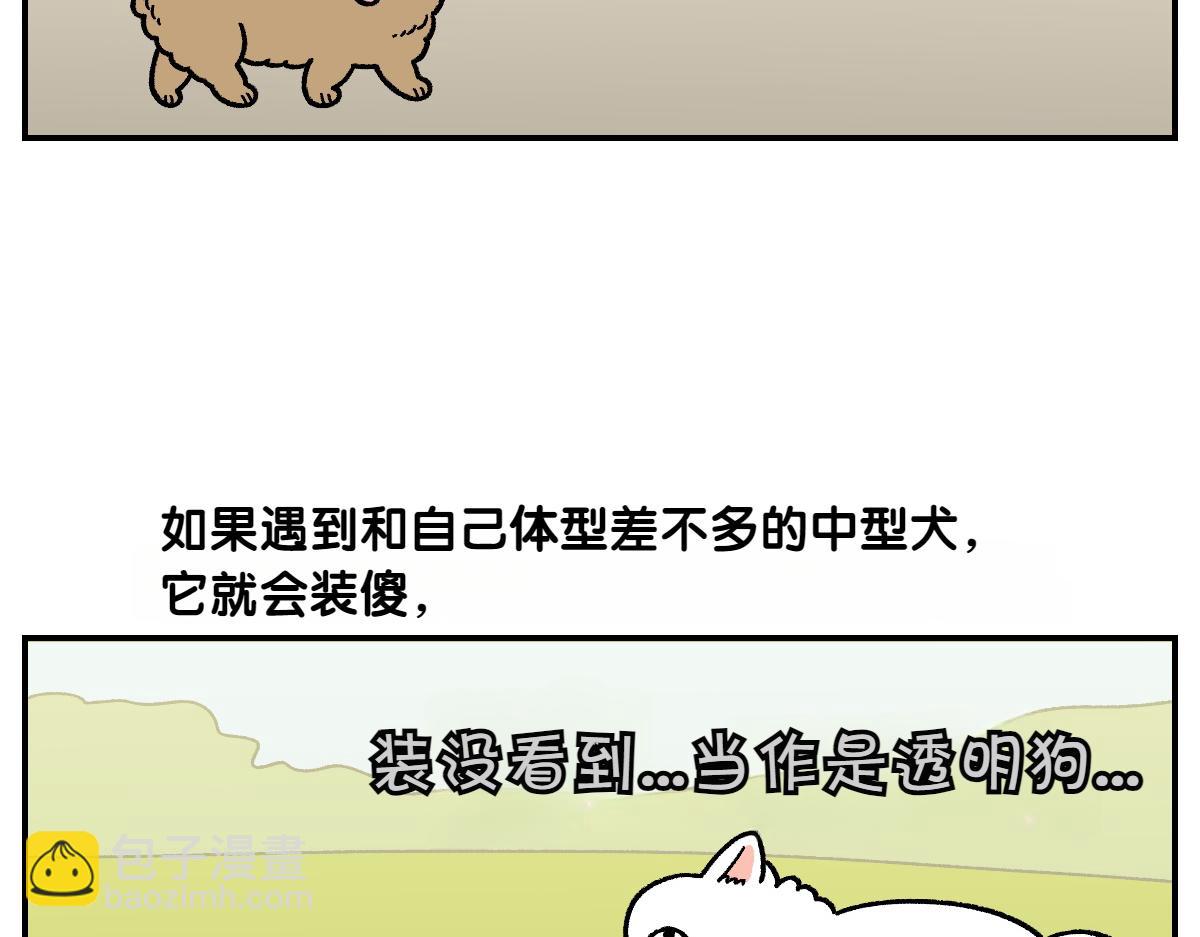 第64话 和狗狗朋友问好(1/2)-第132话