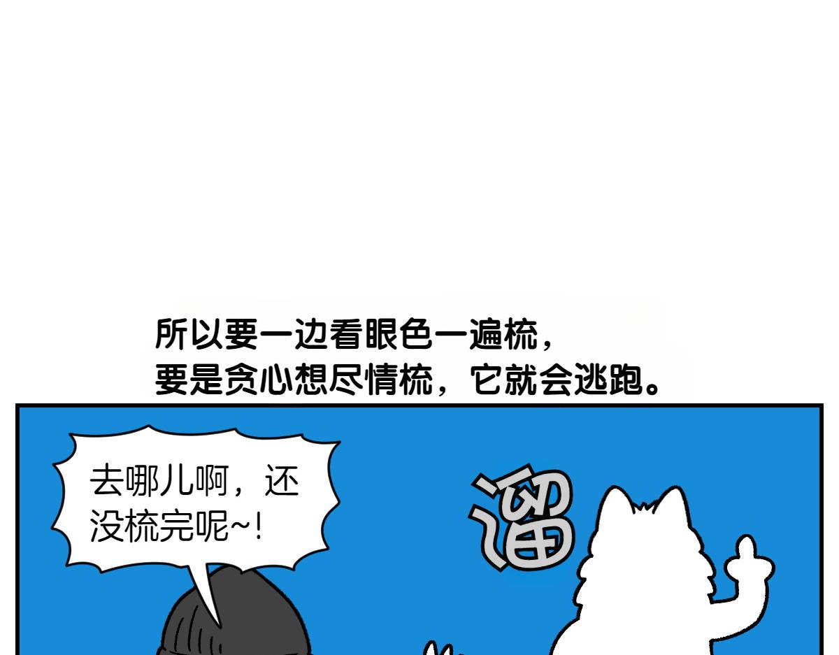 第70话 梳毛(1/2)-第138话