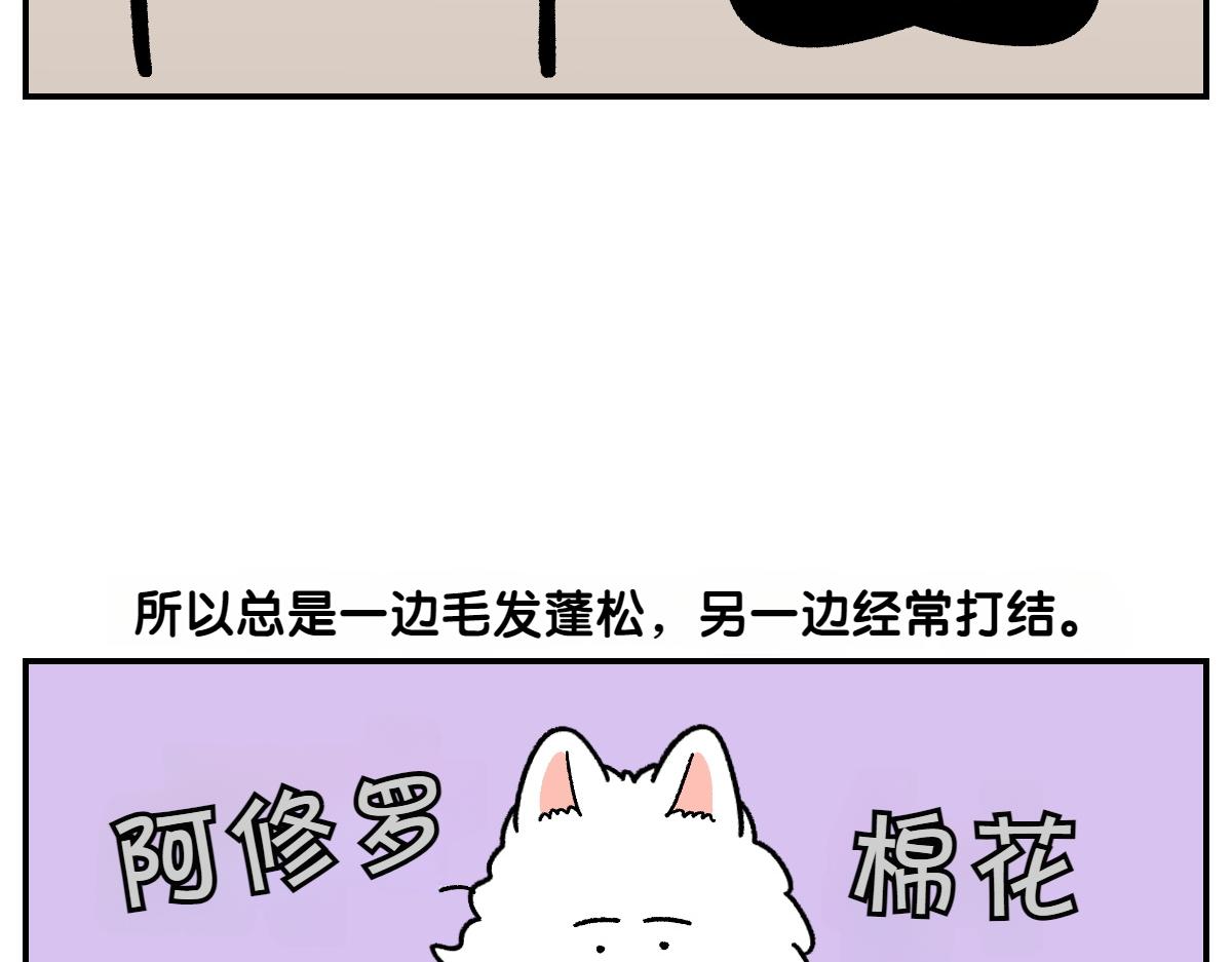 第70话 梳毛(1/2)-第138话