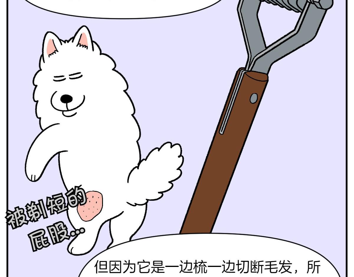 第70话 梳毛(1/2)-第138话