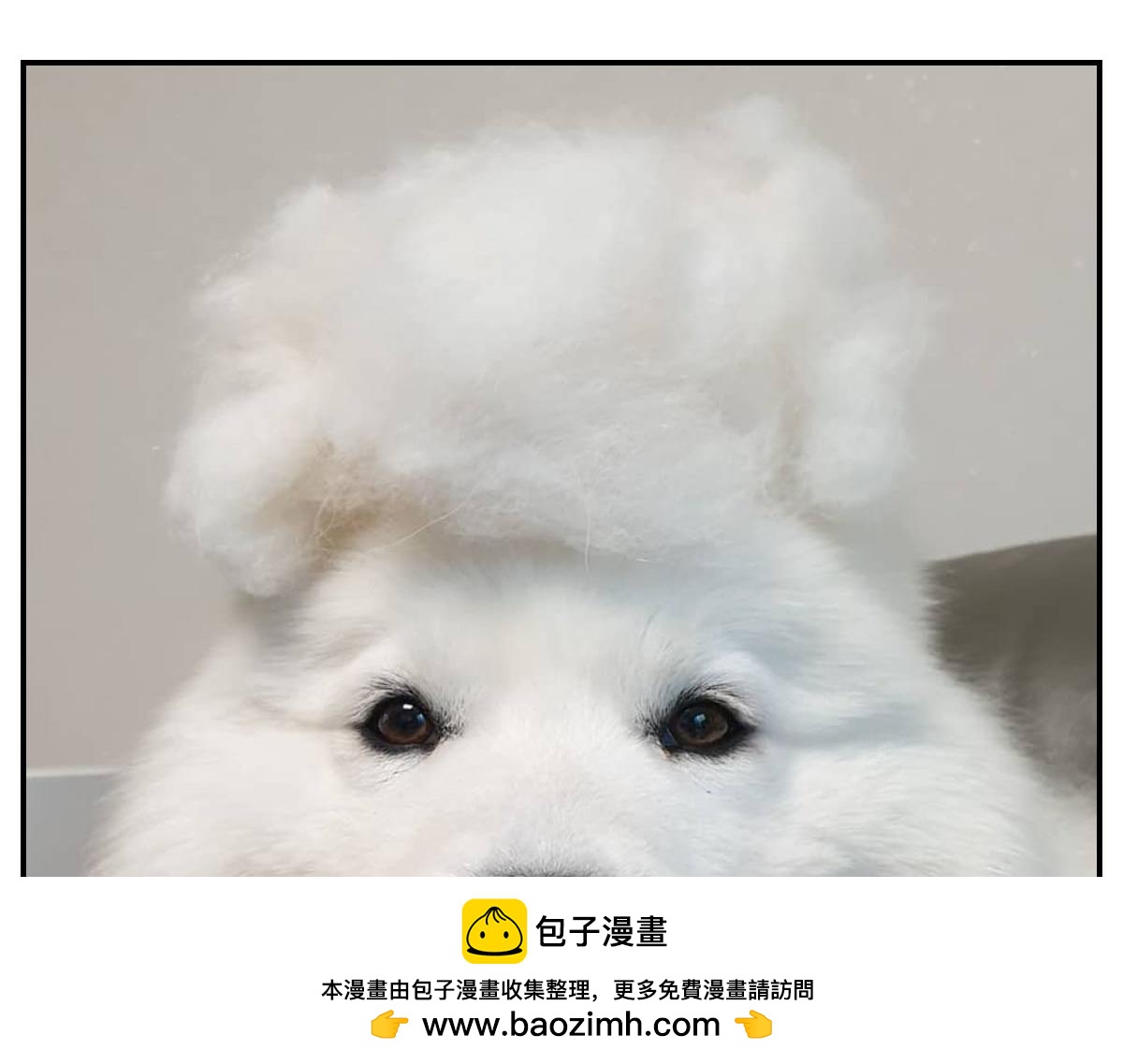 第70话 梳毛(1/2)-第138话