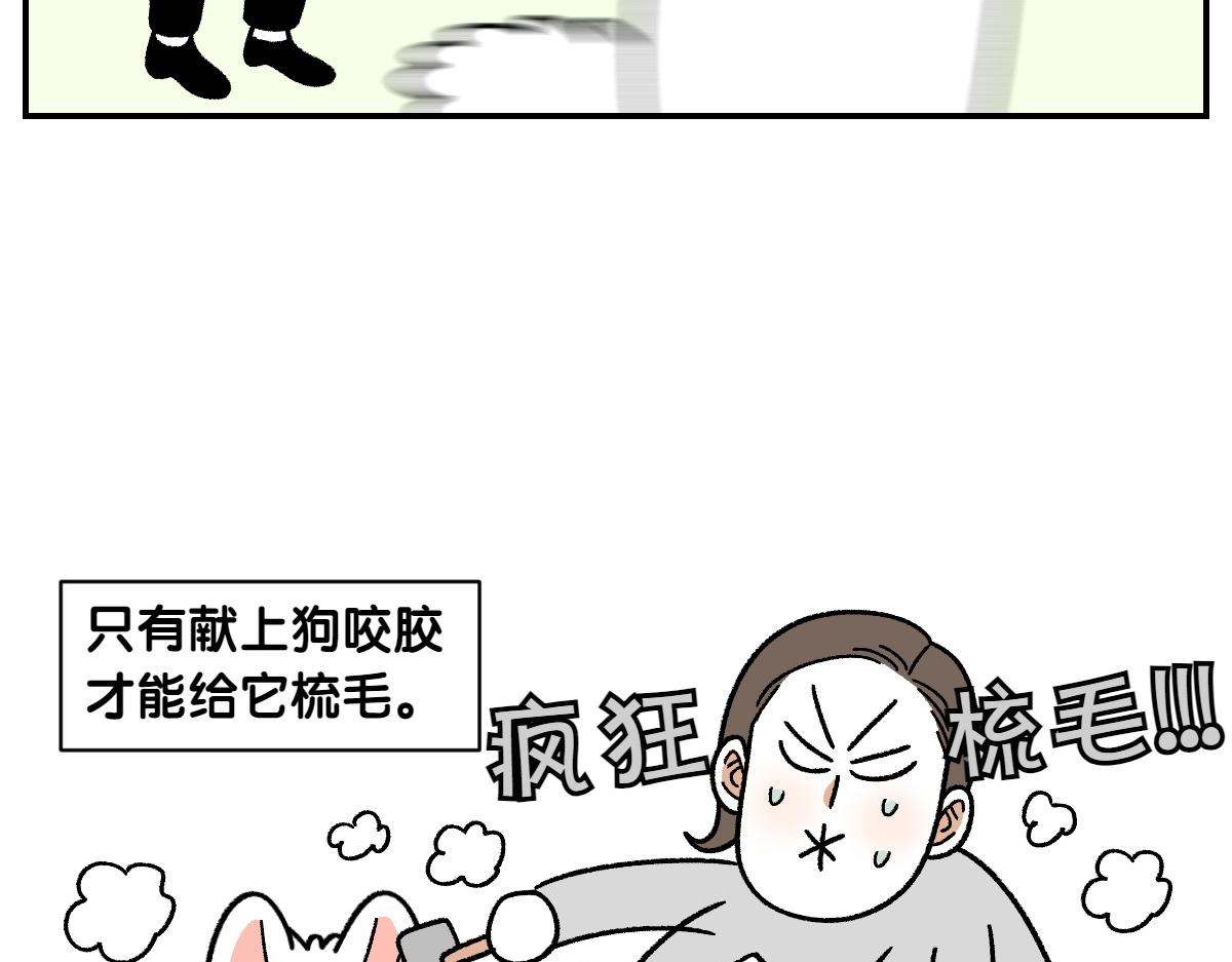 第70话 梳毛(1/2)-第138话