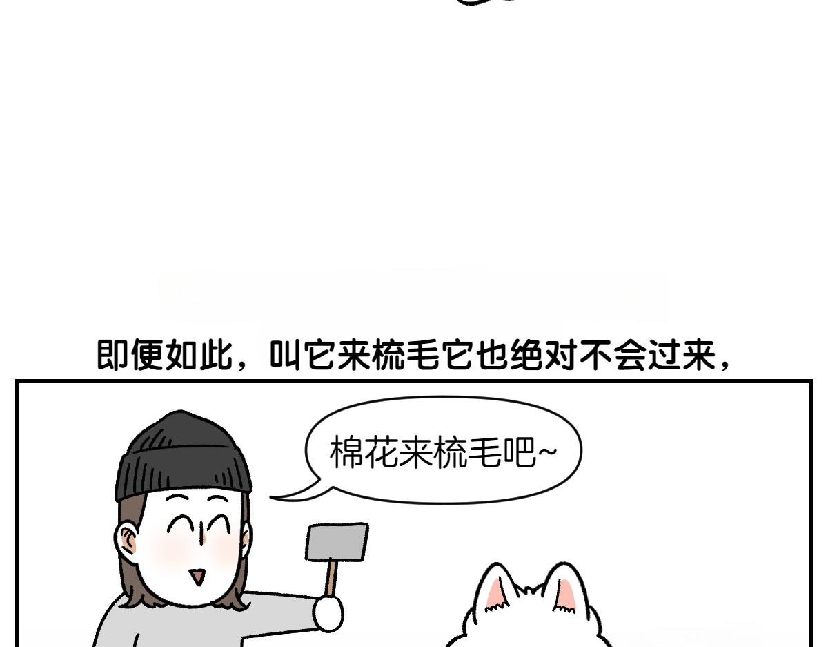 第70话 梳毛(1/2)-第138话