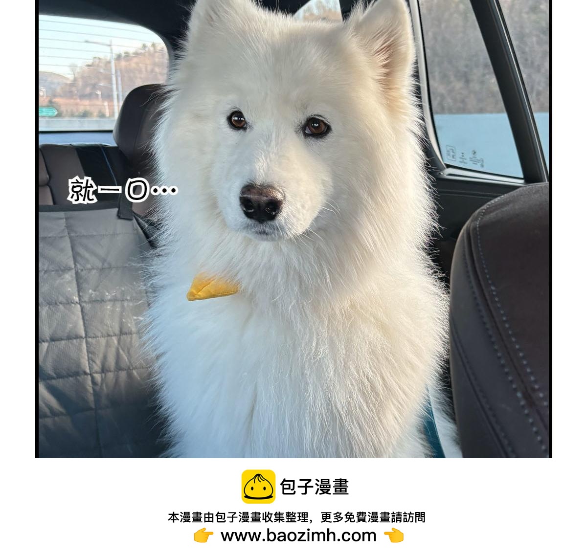 第74话 兜风(1/2)-第142话