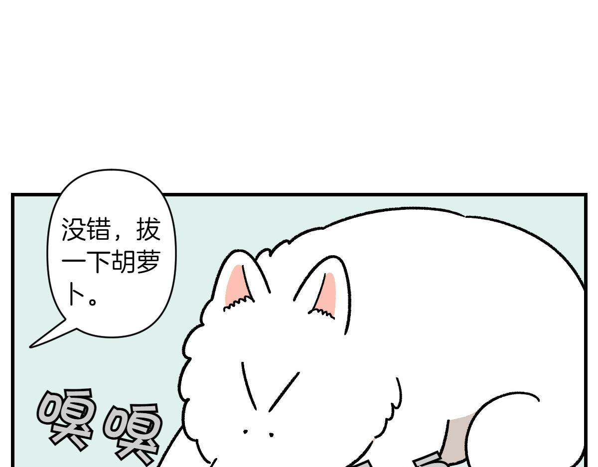 第76话 胡萝卜玩偶(1/2)-第144话