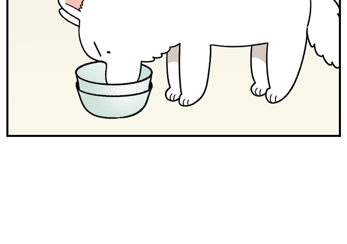 第78话 用饭饭开玩笑(1/2)-第146话