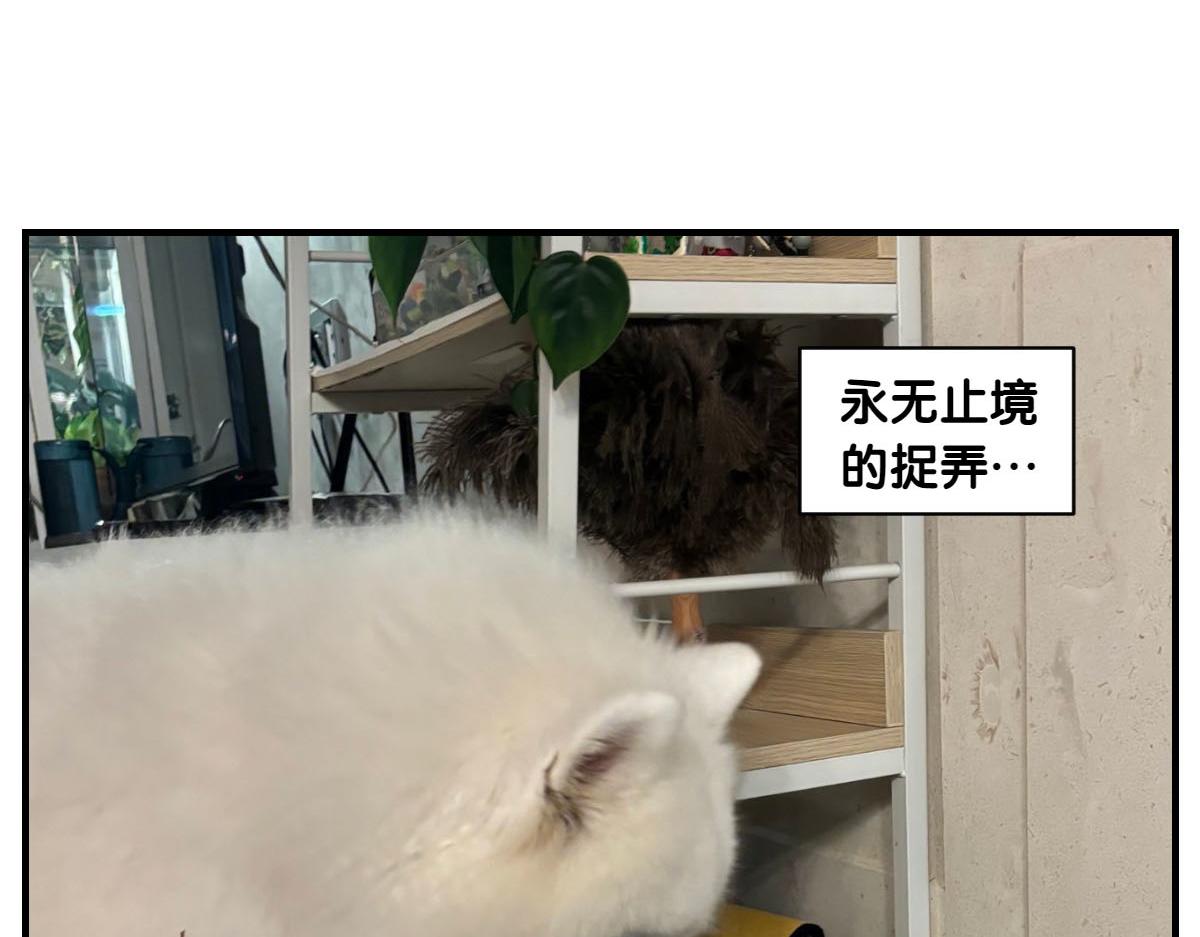 第78话 用饭饭开玩笑(1/2)-第146话