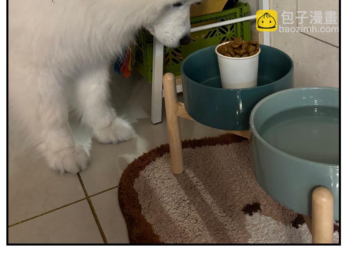 第78话 用饭饭开玩笑(1/2)-第146话