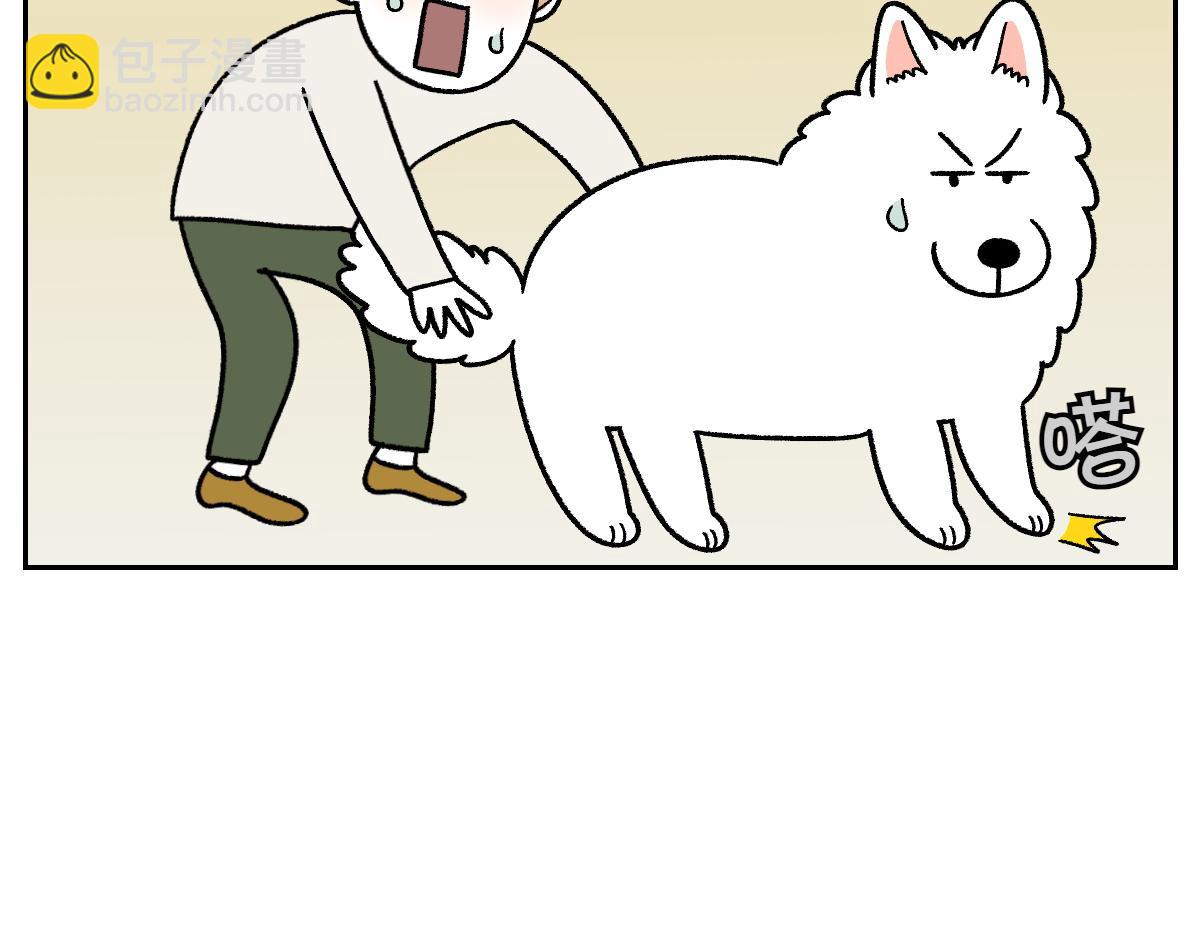 第79话 抱着棉花出去(1/2)-第148话