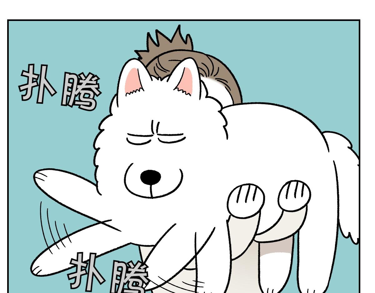 第79话 抱着棉花出去(1/2)-第148话