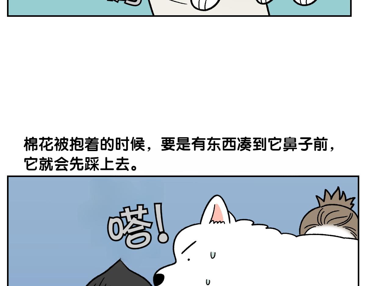 第79话 抱着棉花出去(1/2)-第148话