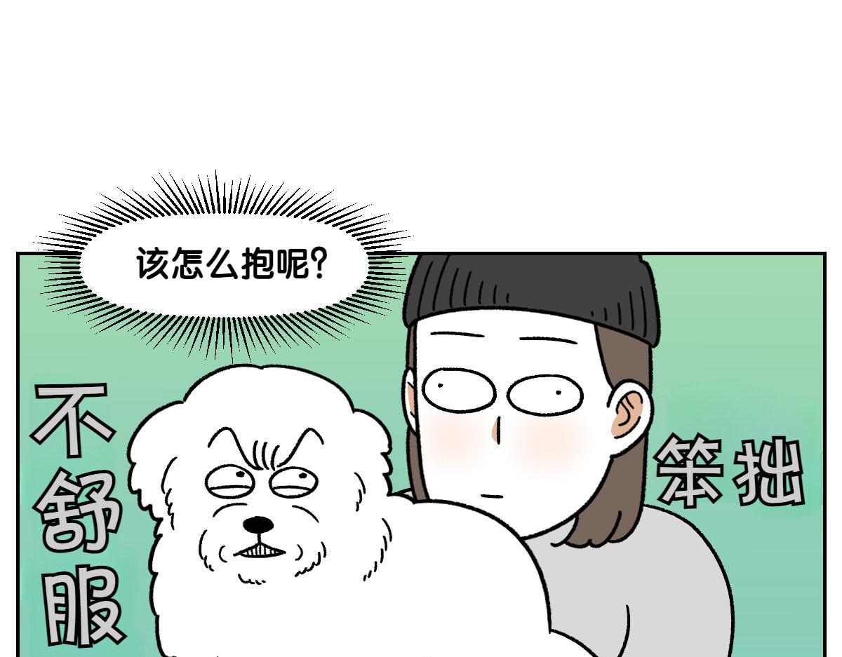 第79话 抱着棉花出去(1/2)-第148话