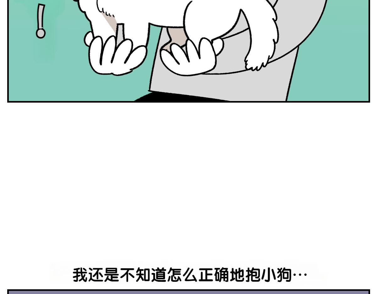 第79话 抱着棉花出去(1/2)-第148话