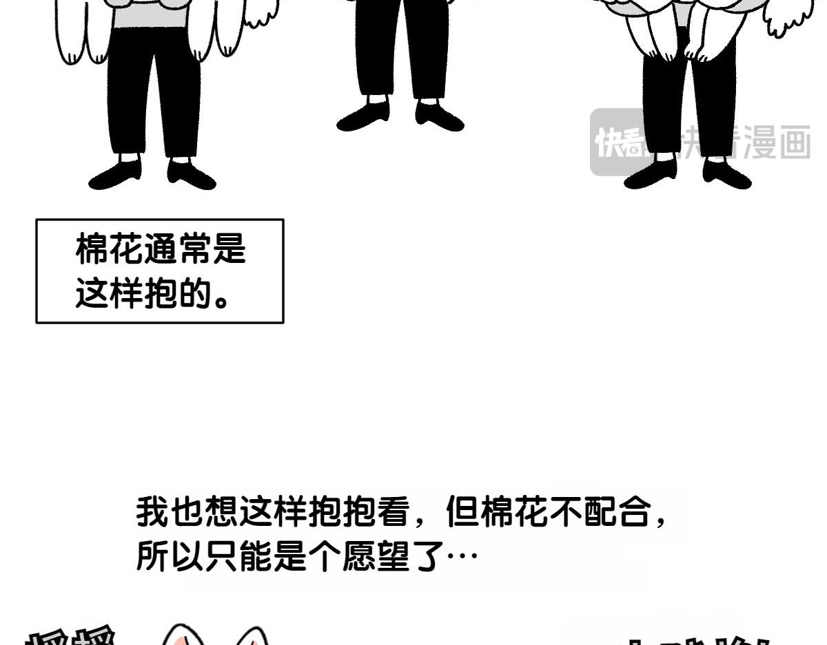第79话 抱着棉花出去(1/2)-第148话