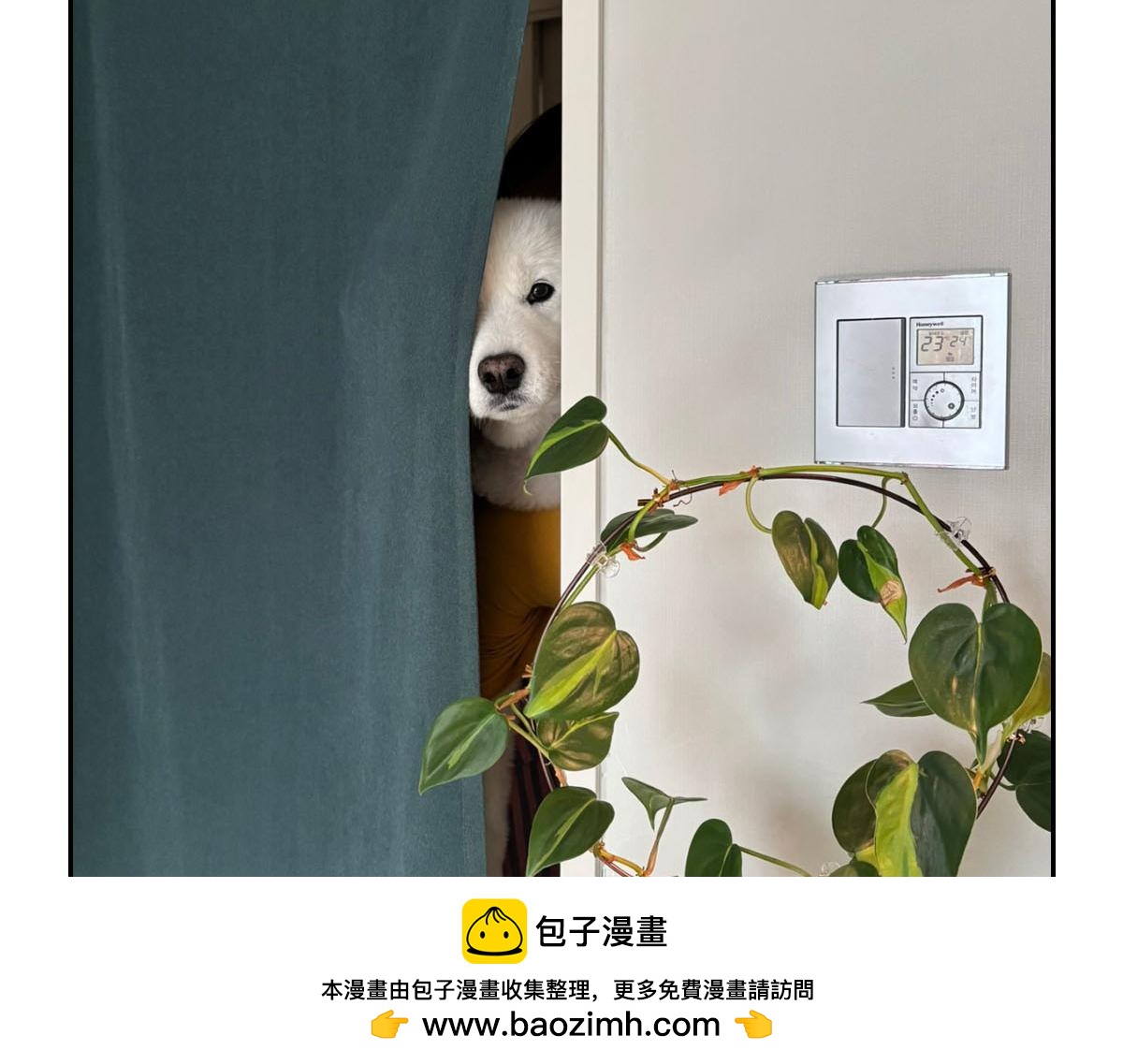 第79话 抱着棉花出去(1/2)-第148话