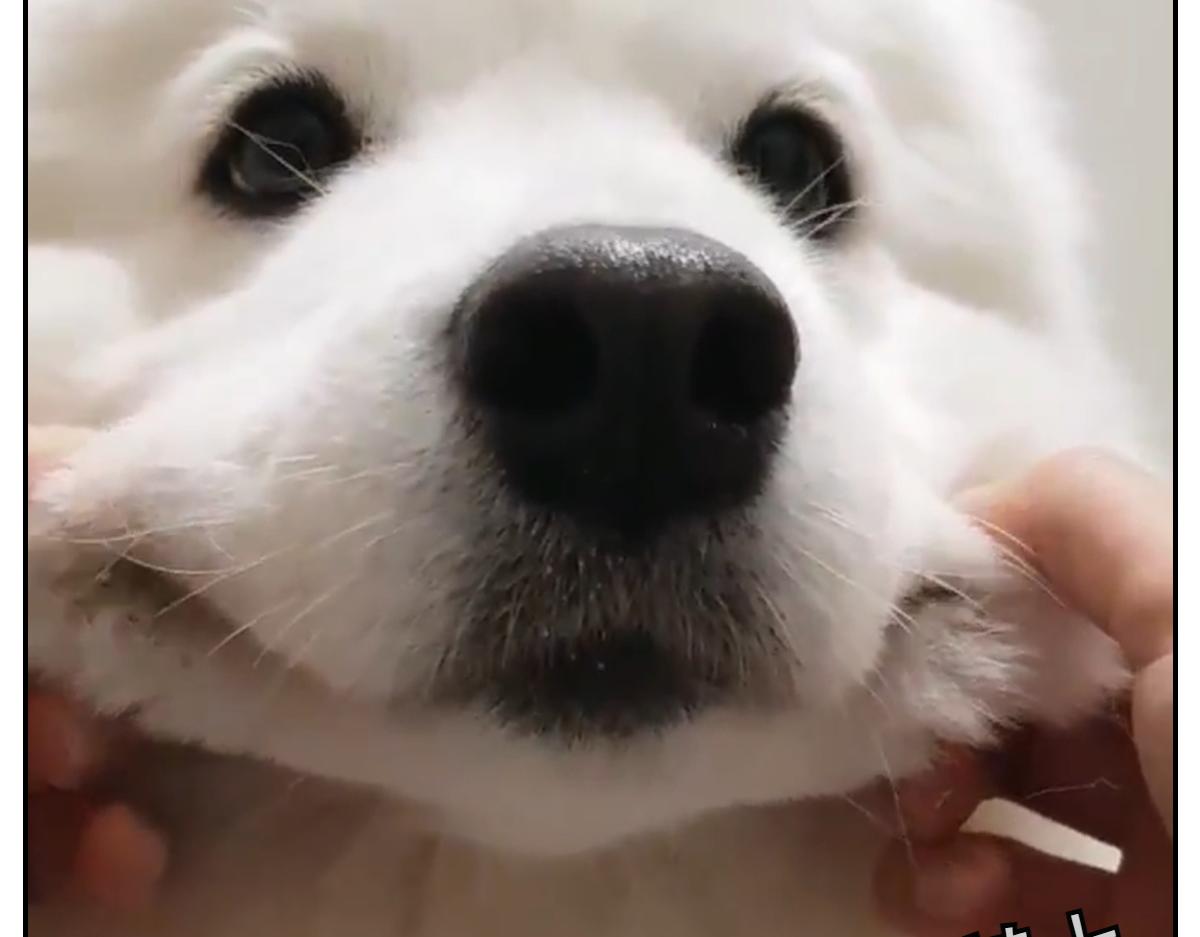 第81话 医生的暗恋(1/2)-第150话