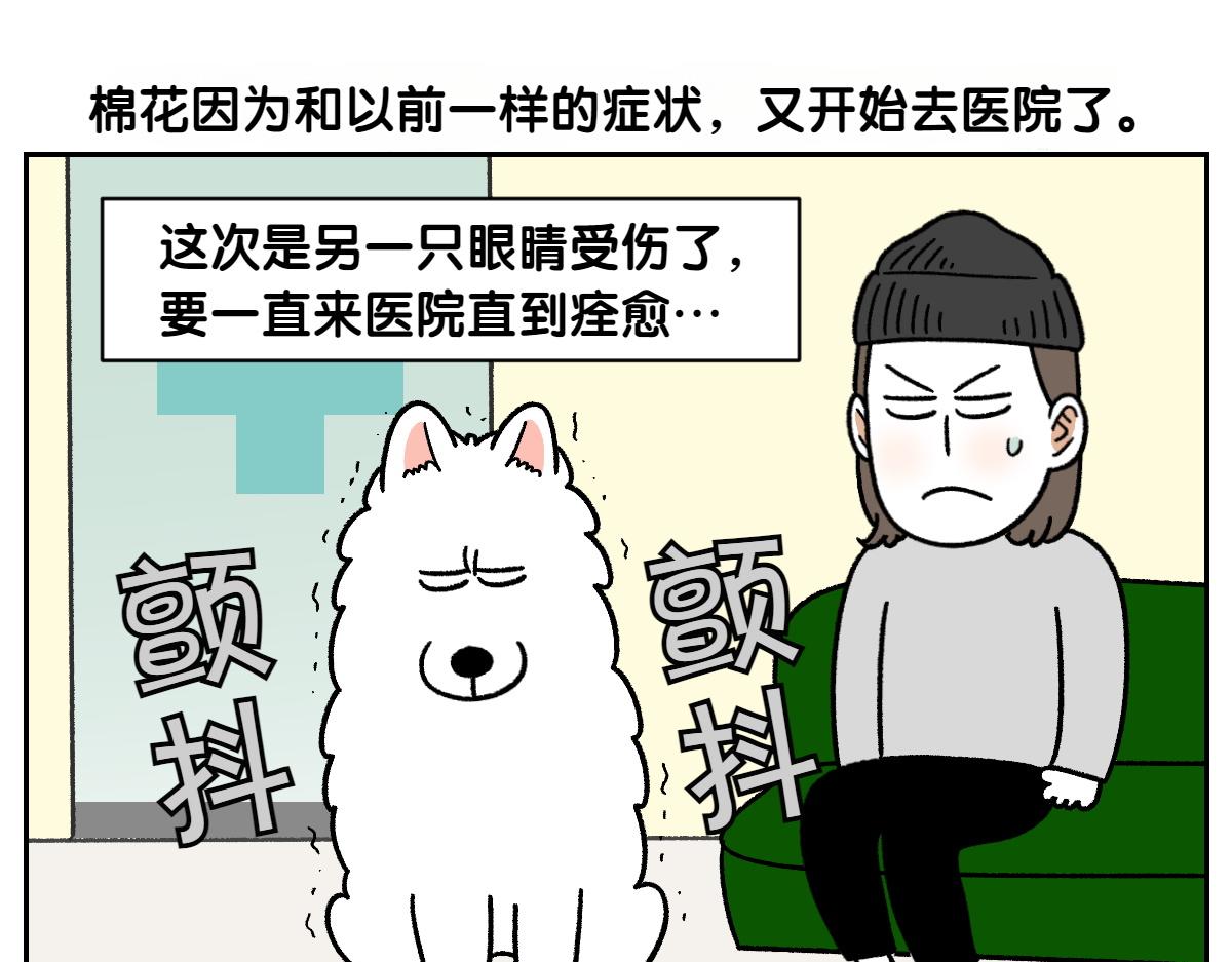 第81话 医生的暗恋(1/2)-第150话