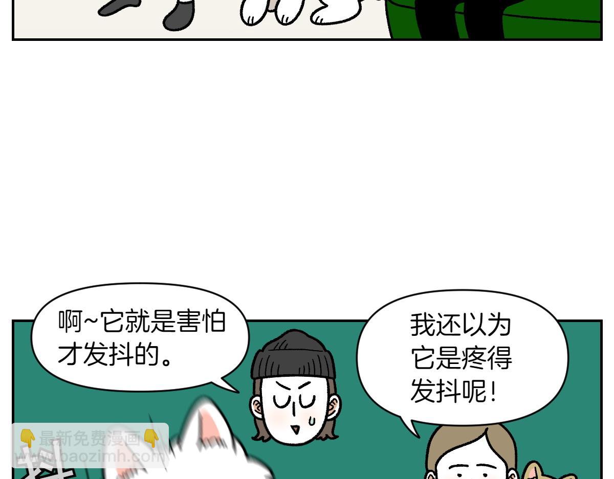 第81话 医生的暗恋(1/2)-第150话