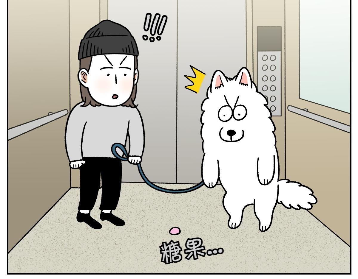 第83话 捡掉在地上的东西吃(1/2)-第152话