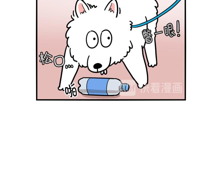 第17话 酷爱捡东西(1/2)-第18话