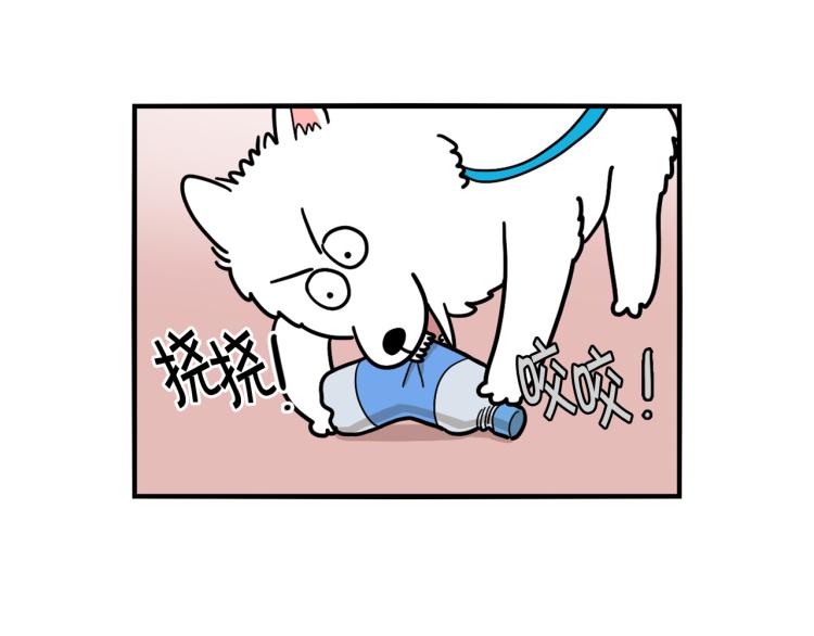 第17话 酷爱捡东西(1/2)-第18话