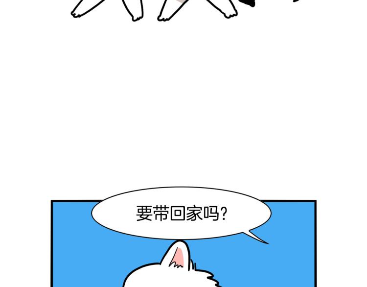 第17话 酷爱捡东西(1/2)-第18话