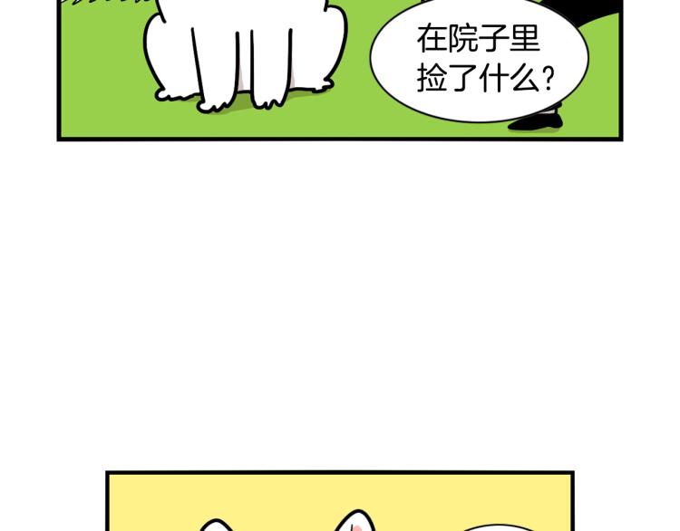 第17话 酷爱捡东西(1/2)-第18话