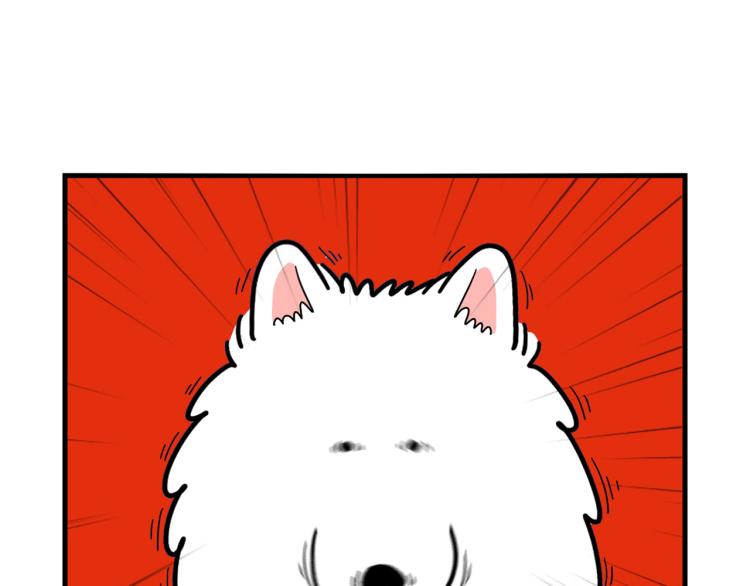 第17话 酷爱捡东西(1/2)-第18话