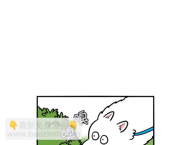 第17话 酷爱捡东西(1/2)-第18话