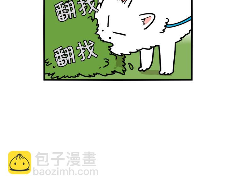 第17话 酷爱捡东西(1/2)-第18话