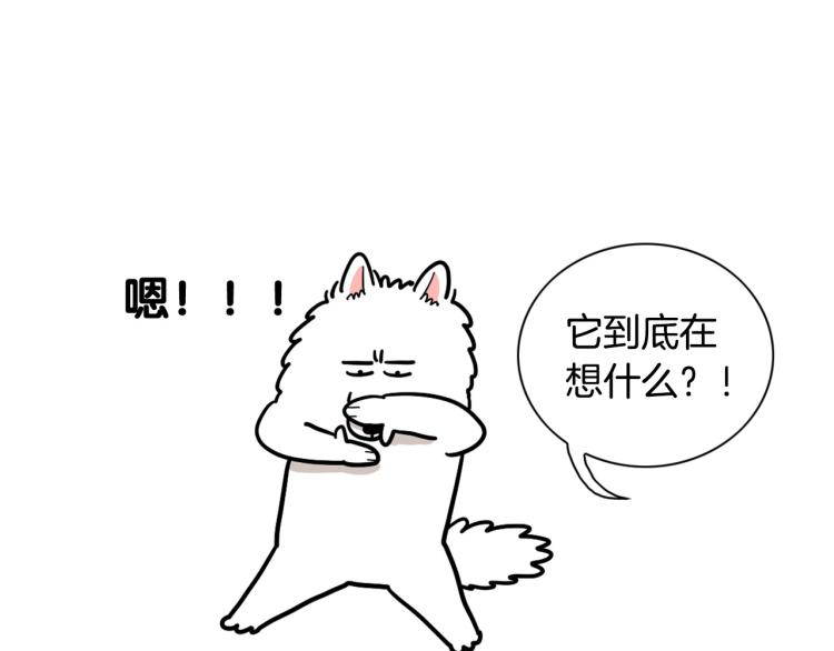 第19话 藏磨牙棒(1/2)-第20话