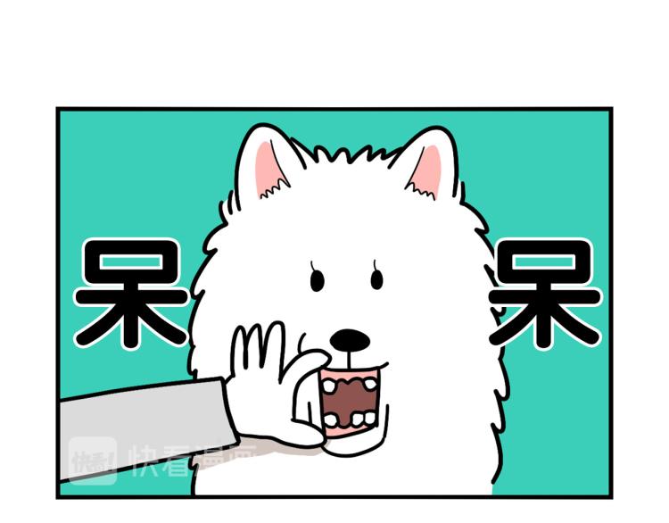 第21话 可怕的换牙期(1/2)-第22话