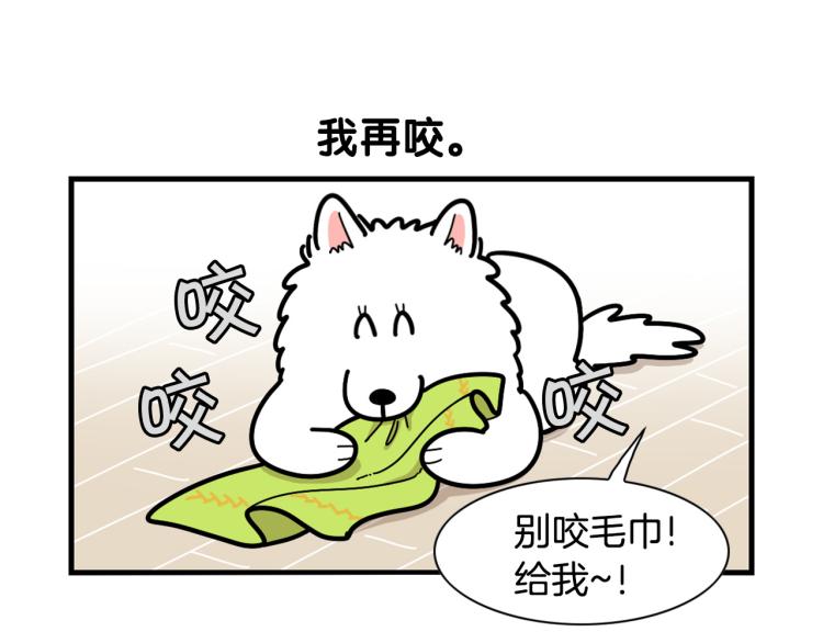 第21话 可怕的换牙期(1/2)-第22话