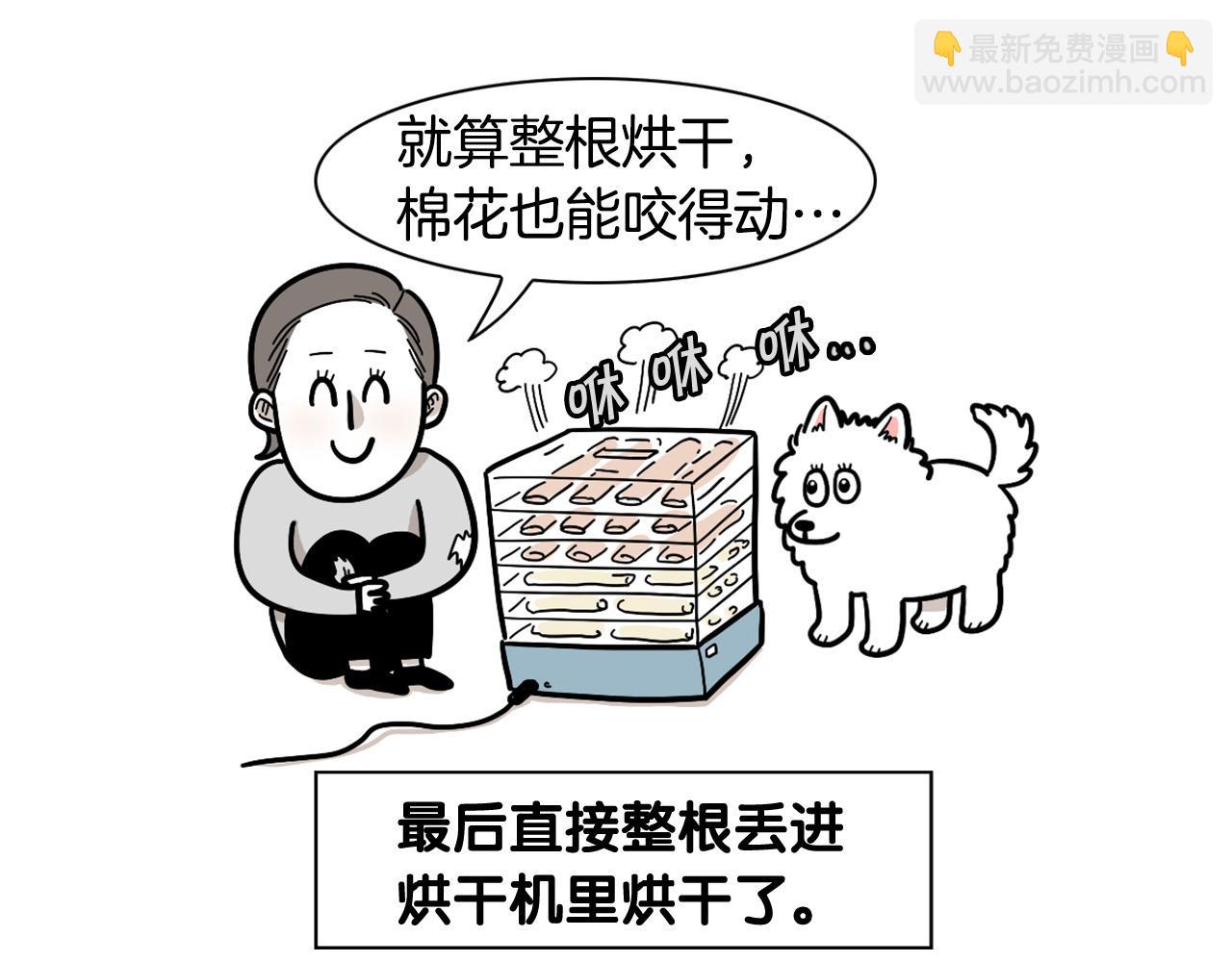 第23话 一双巧手走天下！(1/2)-第24话