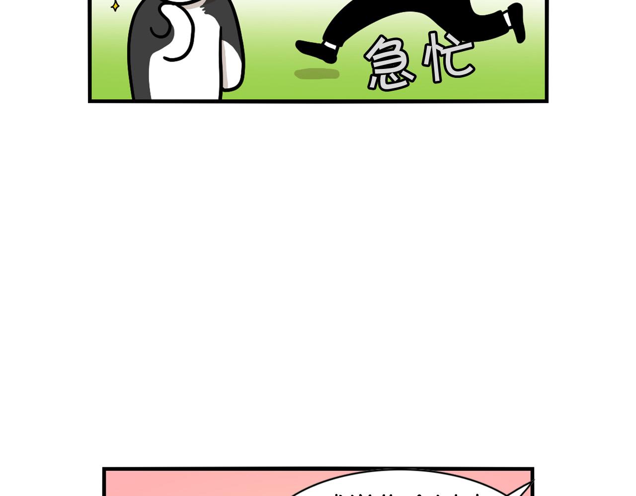 第27话 猫犬不宁？(1/2)-第28话