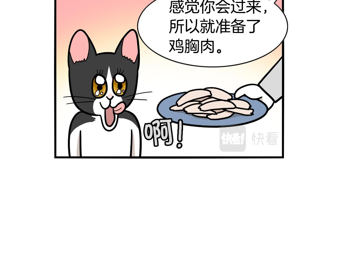 第27话 猫犬不宁？(1/2)-第28话