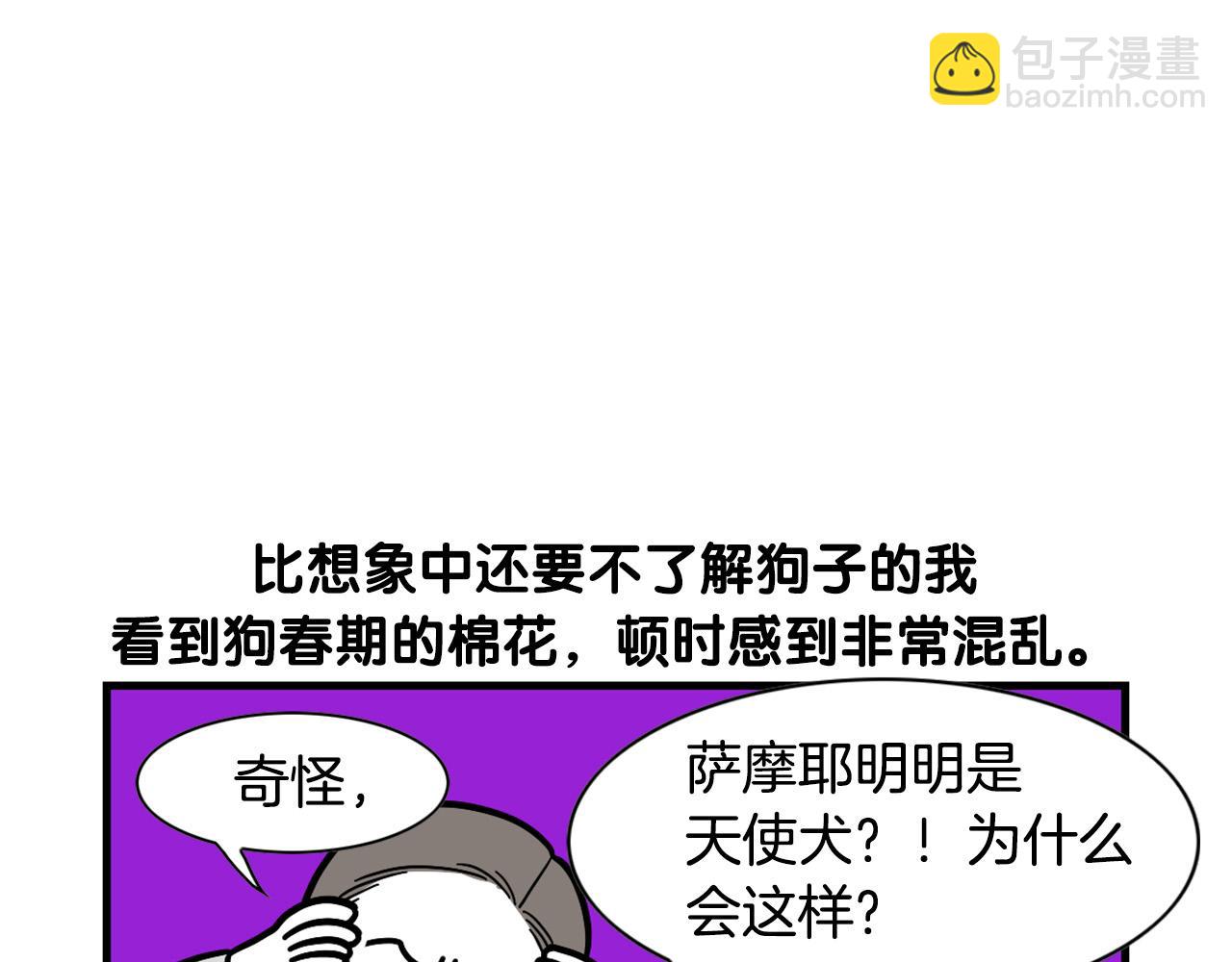 第29话 猴子期的狗很丑？(1/2)-第30话