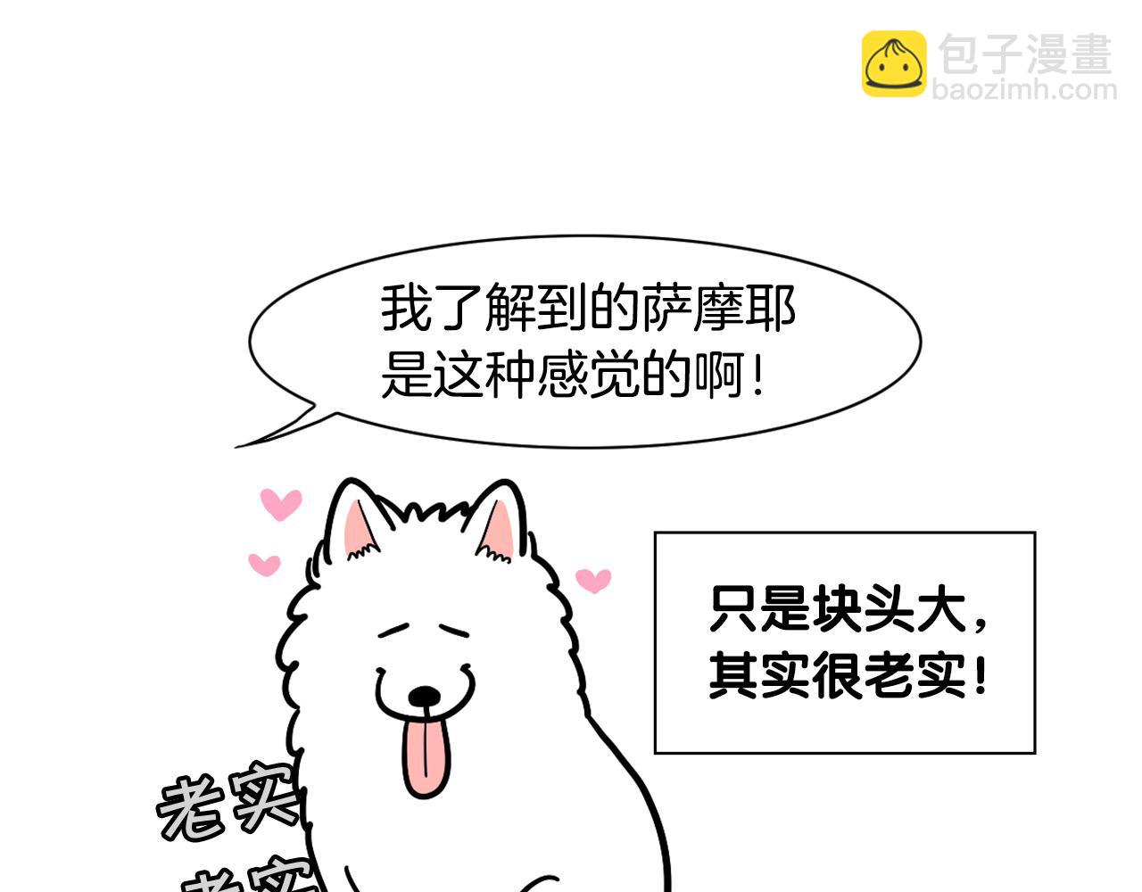 第29话 猴子期的狗很丑？(1/2)-第30话