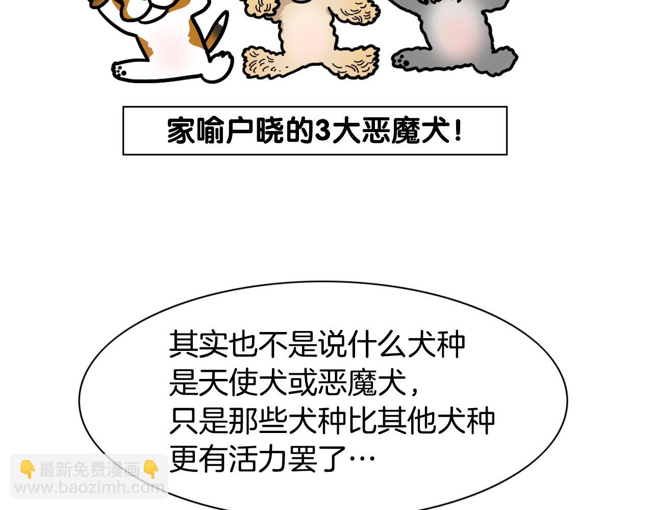 第29话 猴子期的狗很丑？(1/2)-第30话