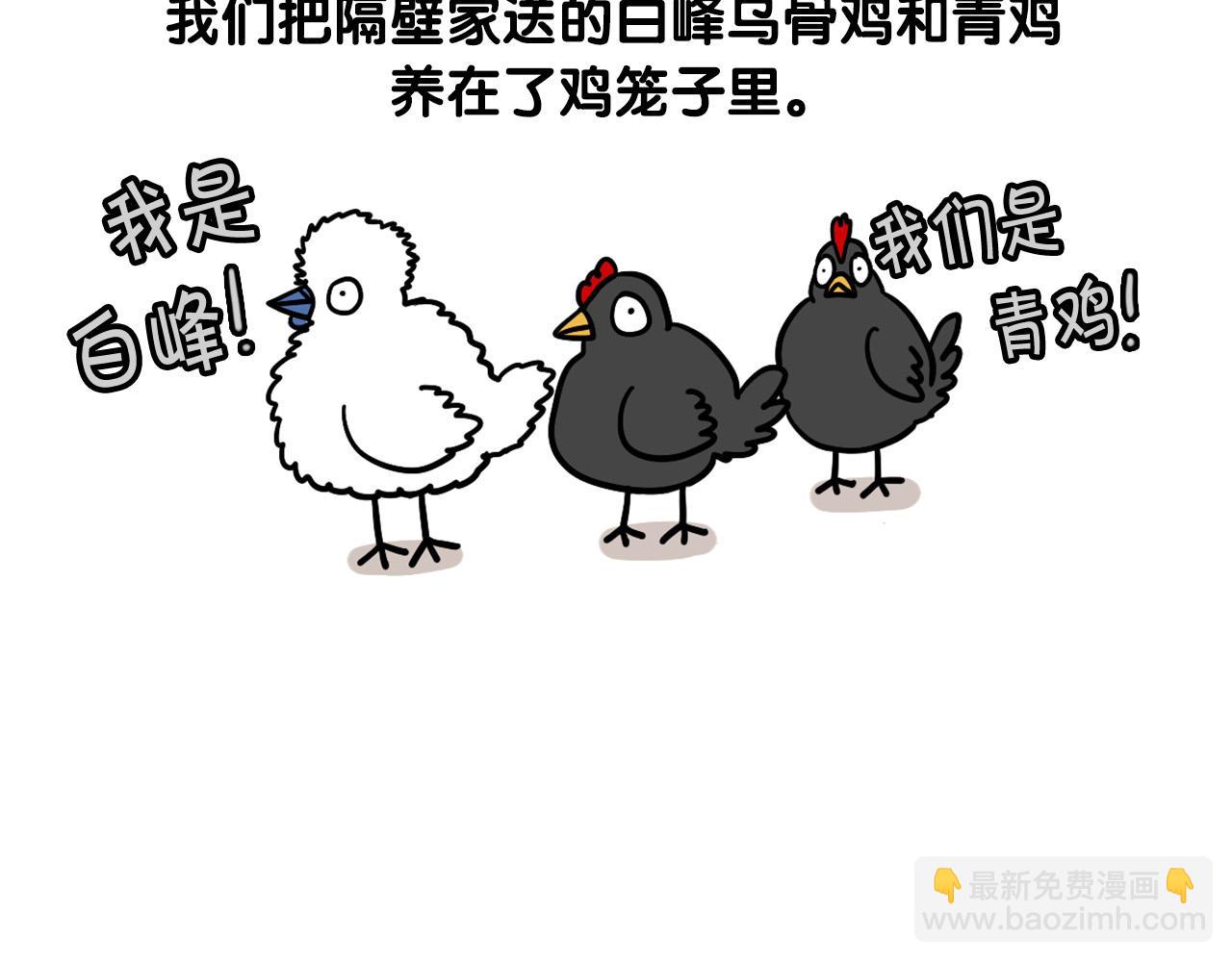 第31话 养鸡之旅(1/2)-第32话