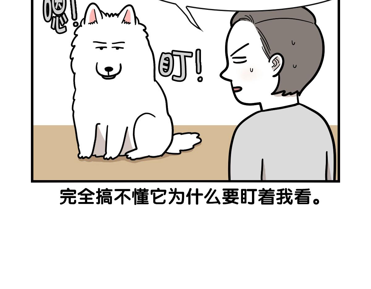 第37话 放屁狗狗(1/2)-第38话