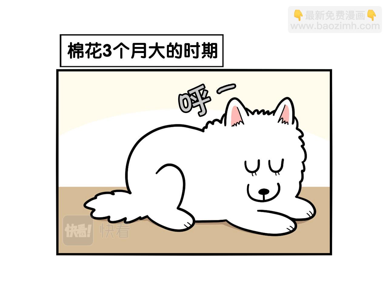 第37话 放屁狗狗(1/2)-第38话