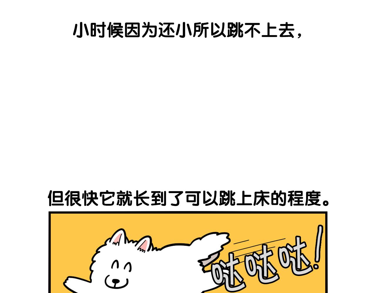 第37话 放屁狗狗(1/2)-第38话